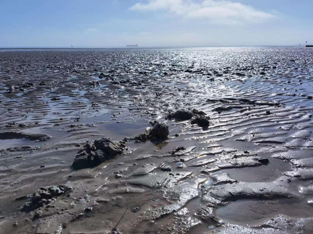Schaake Schillig-Strandnahe Wohlfuehloase Mit Modernem Flair Und Kostenlosem Parken Eksteriør billede